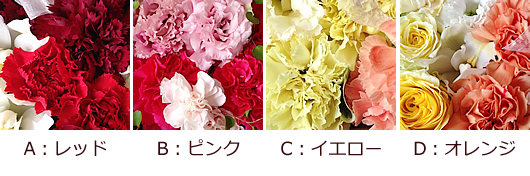 カラーパターン.jpg
